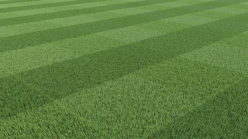 Mowed Grass - Cycles preview image
